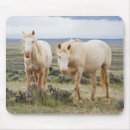 Search for larry ditto mouse mats Ranch