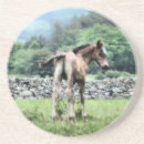 Search for colts barware Ponies