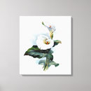 Search for calla lily art Floral