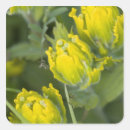 Search for paintbrush stickers Usa