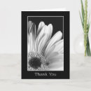 Search for gerber daisy cards Nature