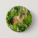 Search for marmot badges Cute