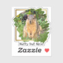 Search for squirrel lovers stickers Animal lover