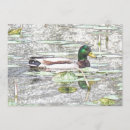 Search for mallard duck invitations Mallards