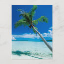 Search for south pacific ocean postcards Tahiti
