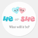 Search for he or she gender reveal stickers Baby shower