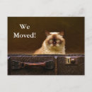 Search for suitcases postcards We've moved