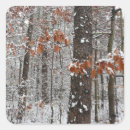 Search for snow covered trees stickers Winter