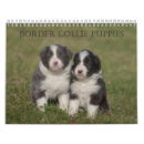 Search for puppy calendars Photography