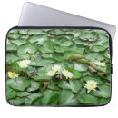 Search for asiatic lilies electronics Lily