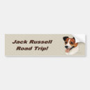 Search for jack russell terrier bumper stickers Terriers