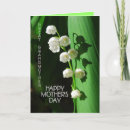Search for v day cards Photography