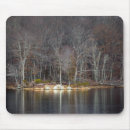 Search for nuclear mouse mats Environment