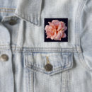 Search for rose bloom badges Pink