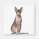 Search for months magnets Animal