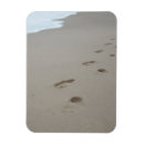Search for footprints magnets Beach