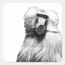 Search for baboon stickers Nature