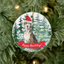Search for catahoula christmas tree decorations Dog