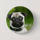 Search for headshot badges Pug