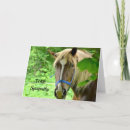 Search for equine sympathy cards Brown