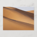Search for morocco postcards Sahara desert