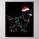 Search for labrador retriever posters Humour