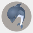 Search for marine envelope seals Wildlife