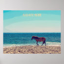 Search for assateague posters Beach