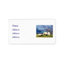 Search for sheep return address labels Farming