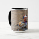 Search for mandarin duck mugs Wildlife