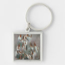 Search for ripe key rings Agriculture