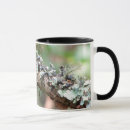 Search for muir woods mugs Trees