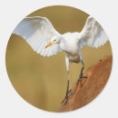 Search for egret stickers Animal