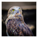 Search for enhanced posters Bird