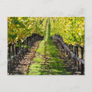 Search for napa valley postcards Fall