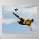Search for volley posters Sport