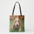 Search for basset hound accessories Cute dogs