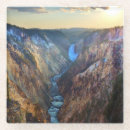 Search for artist coasters Photography