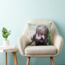 Search for chocolate labrador cushions Animal