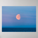 Search for far posters Blue