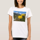 Search for valais Mountains