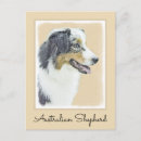 Search for aussie shepherd postcards Australian