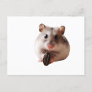 Search for hamster postcards Animal