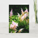 Search for hosta cards Plant