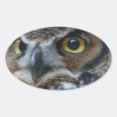 Search for owls eyes stickers Wildlife