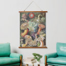 Search for anemone art Ernst haeckel