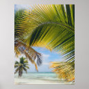Search for serene landscape posters Tropical