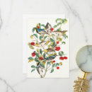 Search for audubon cards Nature