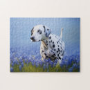 Search for dalmatian puzzles White