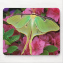 Search for nancy mouse mats Pennsylvania